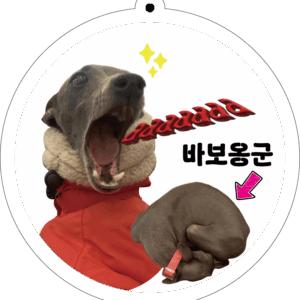 셀프 커스텀 키링